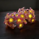 KathGulap Fairy Light