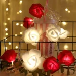 Rose Fairy Light - Image 7