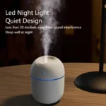 Mini Egg Humidifier