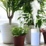 Small Humdifier - Image 2