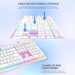 HAVIT KB876L RGB Multi-Function Backlit Keyboard - Image 2