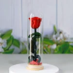Real Preserved Rose Stick Glass Tube