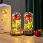 Real Preserved Rose Stick Glass Tube - Image 2
