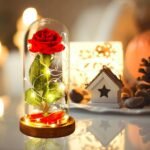 Real Preserved Rose Stick Glass Tube - Image 4