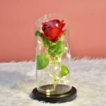 Real Preserved Rose Stick Glass Tube - Image 3