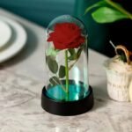 Real Preserved Rose Stick Glass Tube - Image 5