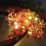 Kat Golap Led Fairy Light Decorative Party Home Decor
